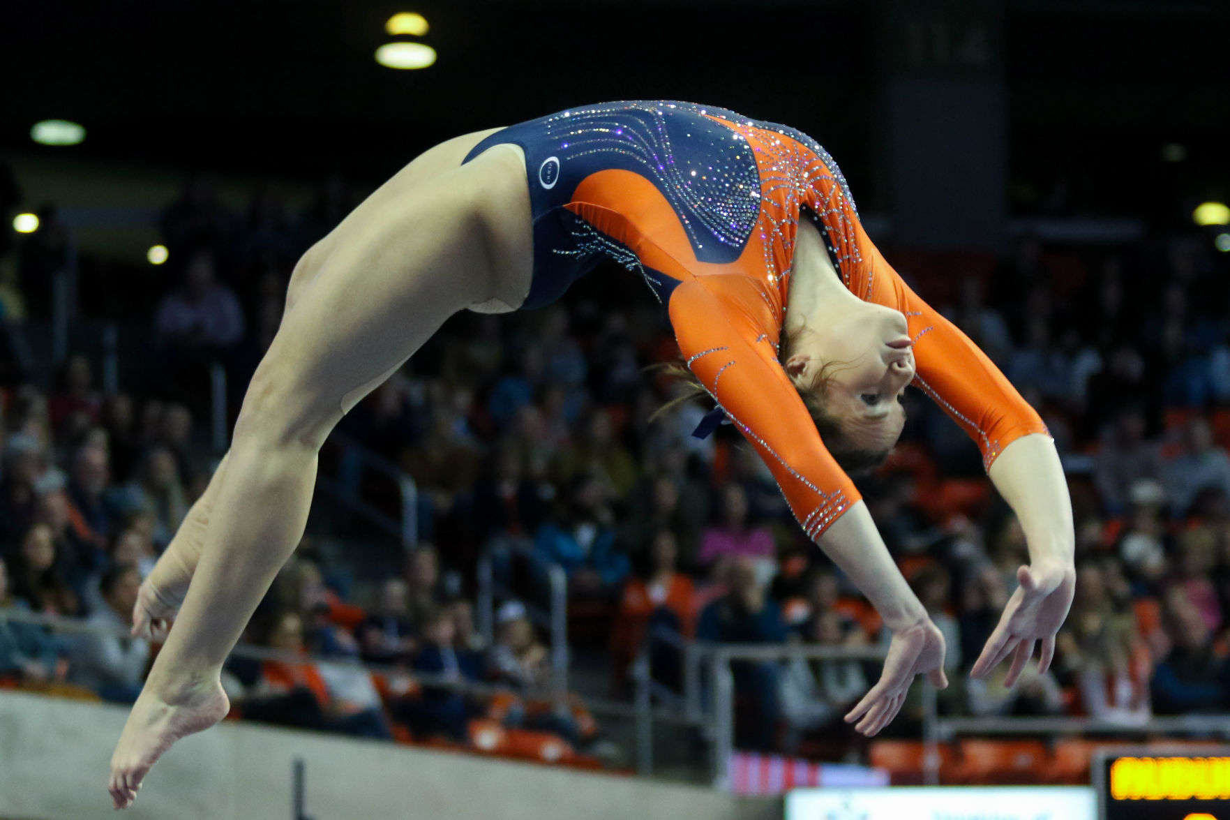 Auburn vs. Kentucky gymnastics